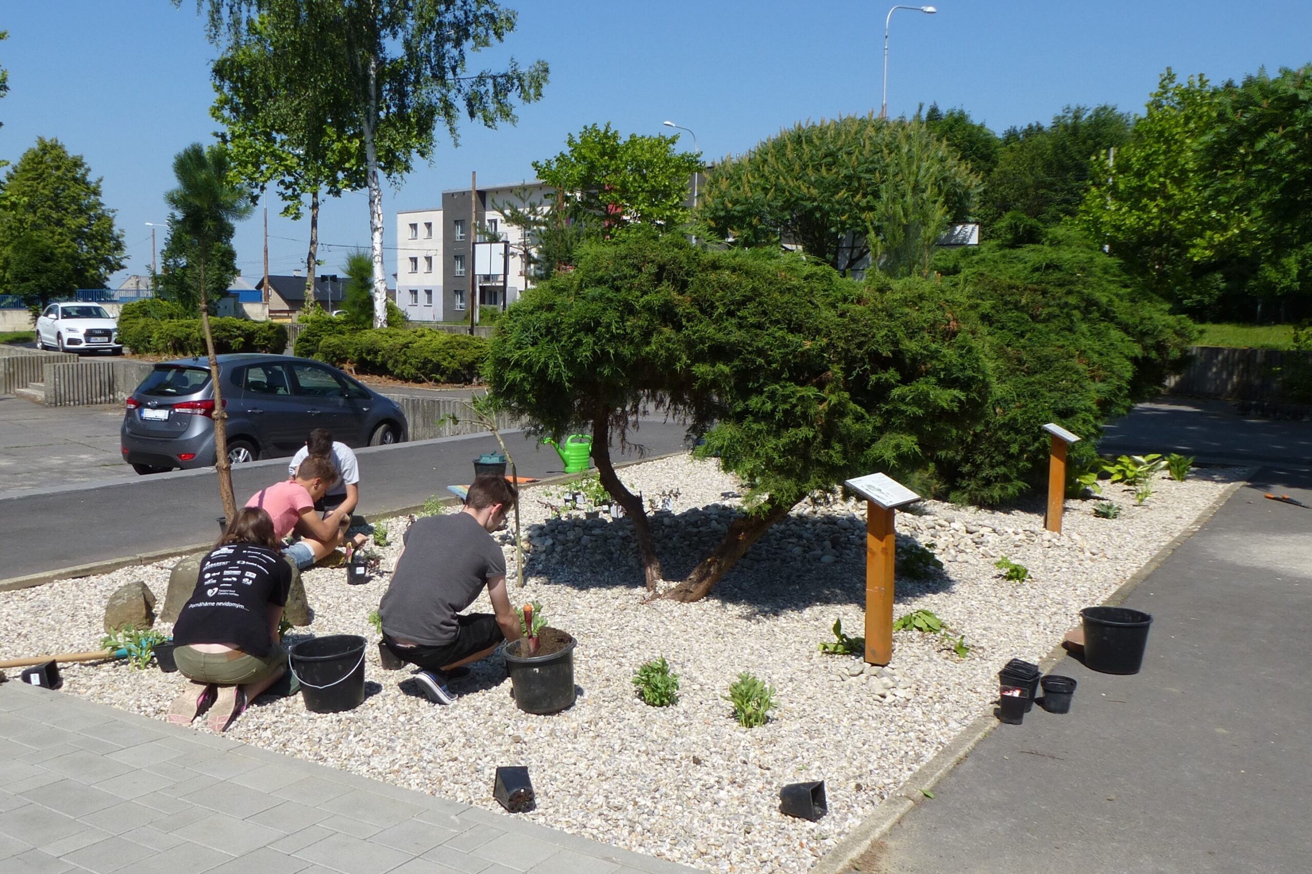 výsadba štěrkového záhonu